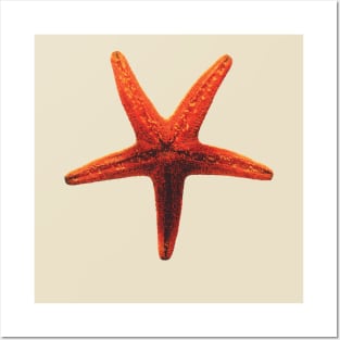 The Starfish Posters and Art